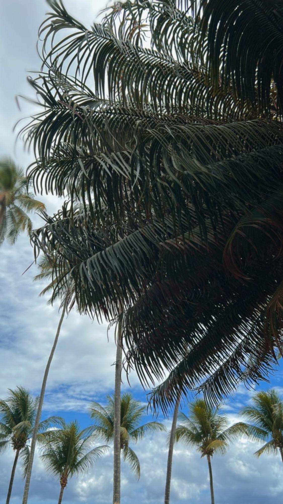 Pousada Villa Mar Porto Pôrto das Galinhas Dış mekan fotoğraf
