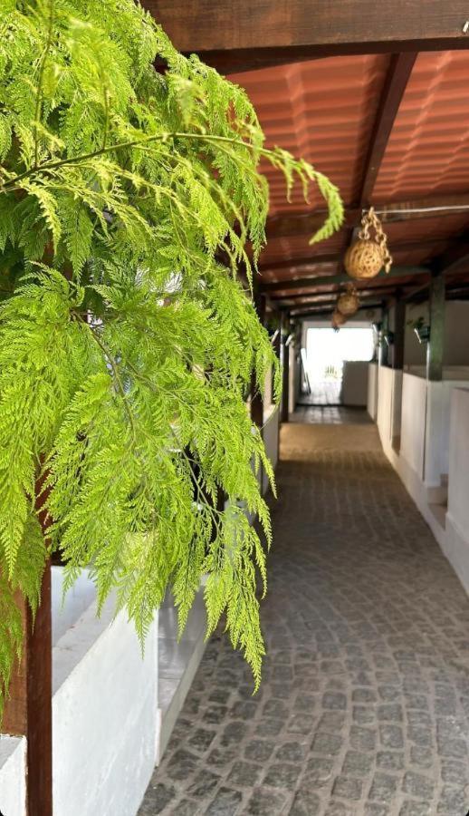 Pousada Villa Mar Porto Pôrto das Galinhas Dış mekan fotoğraf